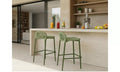 Kingston Outdoor Bar Stool - Set of 2- Lime